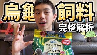 《寵物介紹》我的龜仔要吃什麼飼料呢？烏龜飼料全解析！丨澤龜+陸龜二合一懶人包丨成哥Chenge