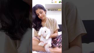 සදීප පලයන් එහාට 😉#shortvideo #bunny #funnyvideo