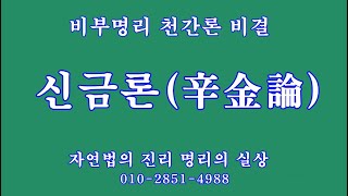 098 신금론辛金論, 비부명리 천간론