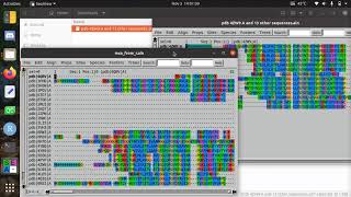 Get a multiple sequence alignment of related proteins in R and the NCBI web interface