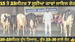 15 ਤੋ 25ਲੀਟਰ 7 ਸੂਈਆ ਗਾਵਾਂ ਵੀਕਾਓ। cows for sale/vadiya farm/10-1-25