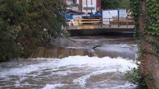 Hochwasser Nordhorn 28-08-2010 teil 2