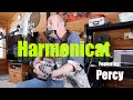 Razz - Harmonicat (live acoustic)