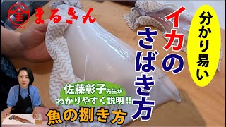 イカの捌き方【つり具のまるきん】料理研究家 佐藤彰子先生