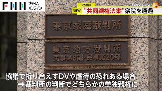 離婚の際に協議「共同親権」も選択可能へ…民法など改正案を衆院可決　虐待・DVの恐れある場合は「単独親権」に