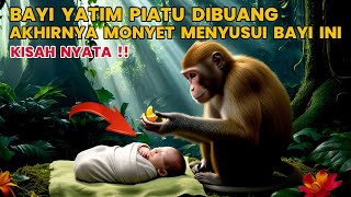 KISAH VIRAL !! BAYI YATIM PIATU DIBUANG IBU NYA KE HUTAN, SEKARANG DIRAWAT MONYET