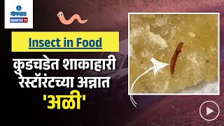 Insect In Food at Curchorem - कुडचडेत शाकाहारी रेस्टॉरंटच्या अन्नात 'अळी' | Gomantak TV