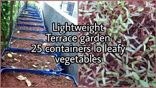 ఇరవై ఐదు కంటైనర్ లో ఆకు కూర చెట్లు//@lightweight terrace garden