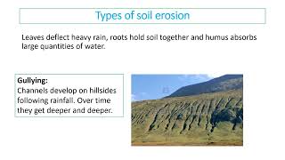 Mr Phillips IB ESS 5.3 Soil Degradation Video