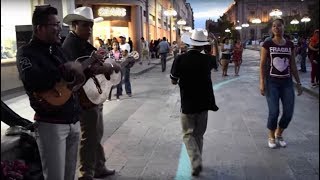 Los Tríos Tordo Huasteco y Eco Potosino tocan El Zacamandú y El Caballito (2017)