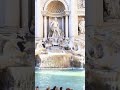 Tourist walks across Rome's Trevi Fountain to refill water bottle