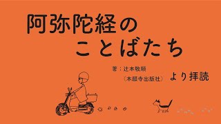 76.仏説阿弥陀経【法話とお朝事(朝のお勤め)】令和4年4月4日（月）＠善称寺ぜんしょうじ（和歌山市）朝のお勤め