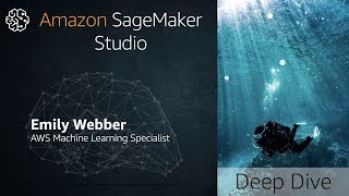 Amazon SageMaker Studio - A Fully Integrated Development Environment For Machine Learning