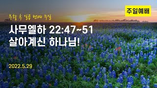 20220529 땅그랑교민교회 주일예배