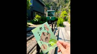 [鎌倉]江ノ電が走る神社！御霊神社の春