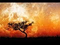 432hz Before Sleep | Magical Dreams Positive Vibes Sleep Easy | 432hz Deep Sleep Music