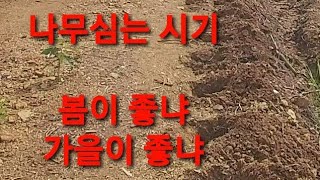 엄나무 묘목심는날 가을이 좋아 봄이 좋아 아직도 식목일 기준 가시오갈피 산초 초피 가죽 참죽나무 유실수 약용수 나무심는법  임산물관리 임야 밭 물관리 나무 식재간격 참두릅묘목 근삽