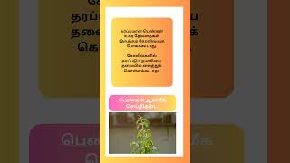 பெண்கள் ஆன்மீக செய்திகள்!...#trending #astrology #ytshorts #motivation #parigaram