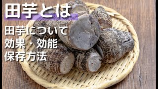 【TETONEZE KICHEN】タイモとは。−効果効能や保存方法などをご紹介#食生活#暮らし#料理