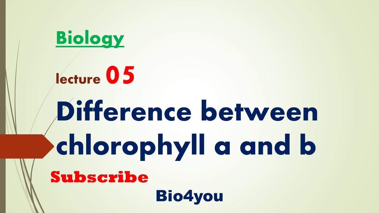 Difference Between Chlorophyll A And B Lecture 05 - YouTube