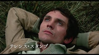 イタリアの異端児ピエル・パオロ・パゾリーニ生誕100年記念上映『テオレマ 4Kスキャン版』『王女メディア』2作品を合わせた特別予告編