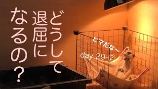 HTL☆退屈って〇〇のサイン☆day-29-②