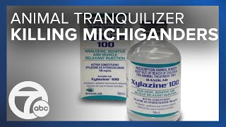 Animal tranquilizer linked to at least 171 opioid deaths in Michigan