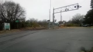 Amtrak Carolinian #80 (P080-19) in Raleigh (1/19/2025)