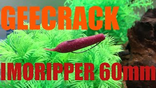 ジークラック イモリッパー 60mm 水中アクション映像 各リグ/GEECRACK IMORIPPER 60mm UNDERWATER ACTION MOVIE