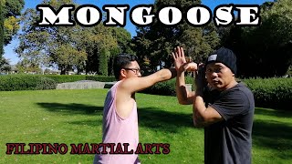 MONGOOSE MARTIAL ARTS