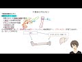 【いちぷら塾】解剖学　9内分泌系　2内分泌各論1下垂体のホルモン あん摩マッサージ指圧師、鍼灸師