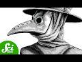 The Deadliest Stuff on Earth | Compilation