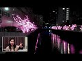 sakura lights at meguro river 目黒川のイルミネーション