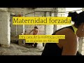 Maternidad forzada | Embarazos adolescentes: otra cara de la violencia contra las mujeres en México