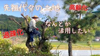 週末田舎暮らしを考える/退職後に再雇用で働く夫とフリーになったわたし