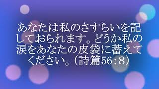 今日のマナ#800あなたの涙は覚えられている