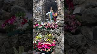 MARY MATA || మేరీ మాత || SRI MARI MATHA...THE FEAST OF MOTHER MARY OF APPARITION |