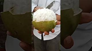 green calabash fruit #fruit #cuttingskils #coconutmilk #satisfying #coconut #fruitcutting #mango