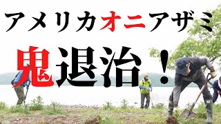 皆んなで鬼退治！？外来種駆除＜#弟子屈町公式ニュース ＞