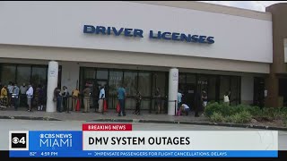 Technical glitch plagues Florida's driver's license, vehicle registration systems