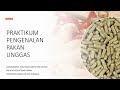 ILMU PAKAN DAN NUTRISI HEWAN - (Pengenalan Pakan Unggas) - #IPNH_2