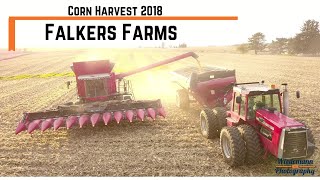 Falkers Farms Corn Harvest 2018