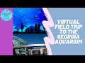 Georgia Aquarium Virtual Field Trip/Tour