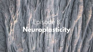 S1E8: Neuroplasticity