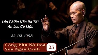 Bốn Lĩnh Vực Quán Niệm 04 [CPNĐSNC 25] | TS Thích Nhất Hạnh(22-02-1998, XT, Làng Mai)