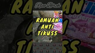 Ramuan anti tikus #tipspraktis #lifehack #caraunik #shortvideos #idekreatif