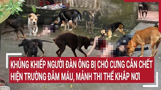 Điểm nóng 11/1: Khủng khiếp chó cưng cắn xé tan nát thi thể chủ nhân, hiện trường tử vong đẫm máu