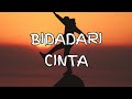 (COVER) Bidadari Cinta - Selfi Yamma ft Faul Gayo - (Lyrics)