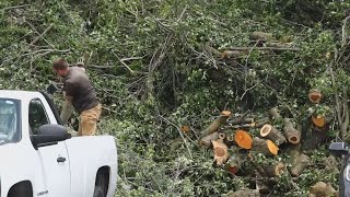 FIRST ALERT WEATHER: Top 5 notable Ozarks weather events in 2025