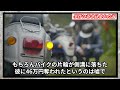 【未解決事件】自宅から忽然と姿を消した中学生！周辺に不審な3人組の男が目撃される…【庄山仁くん行方不明事件】